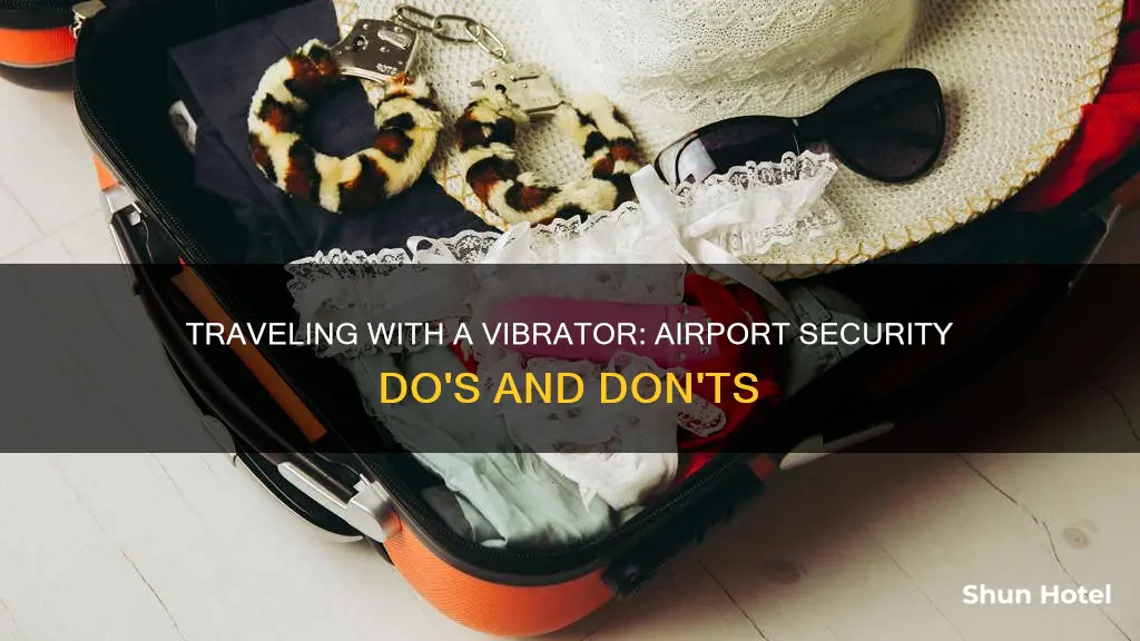 can i take a vibrator through airport security