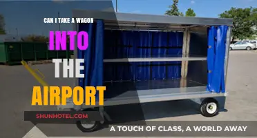 Airport Wagon Woes: Can I Bring It?
