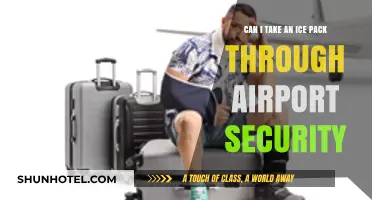 Traveling with Ice Packs: Airport Security Rules