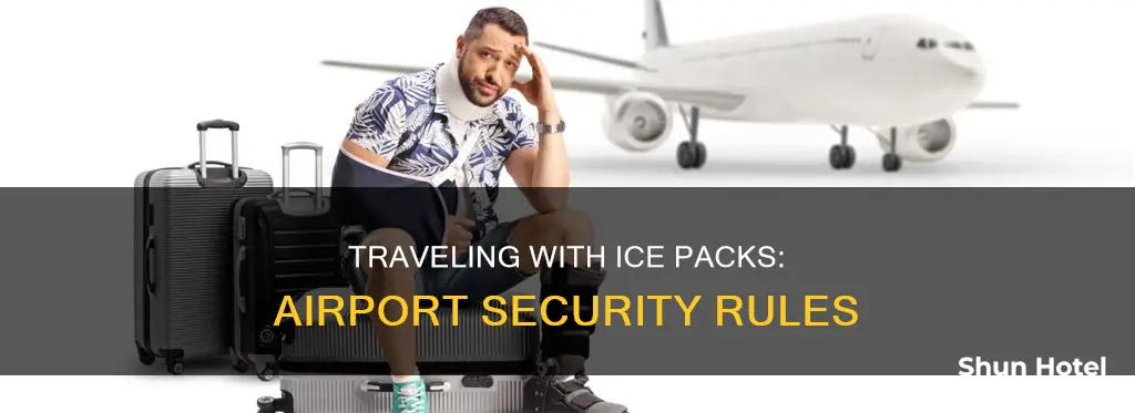 can i take an ice pack through airport security