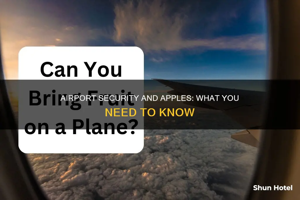 can i take apples through airport security