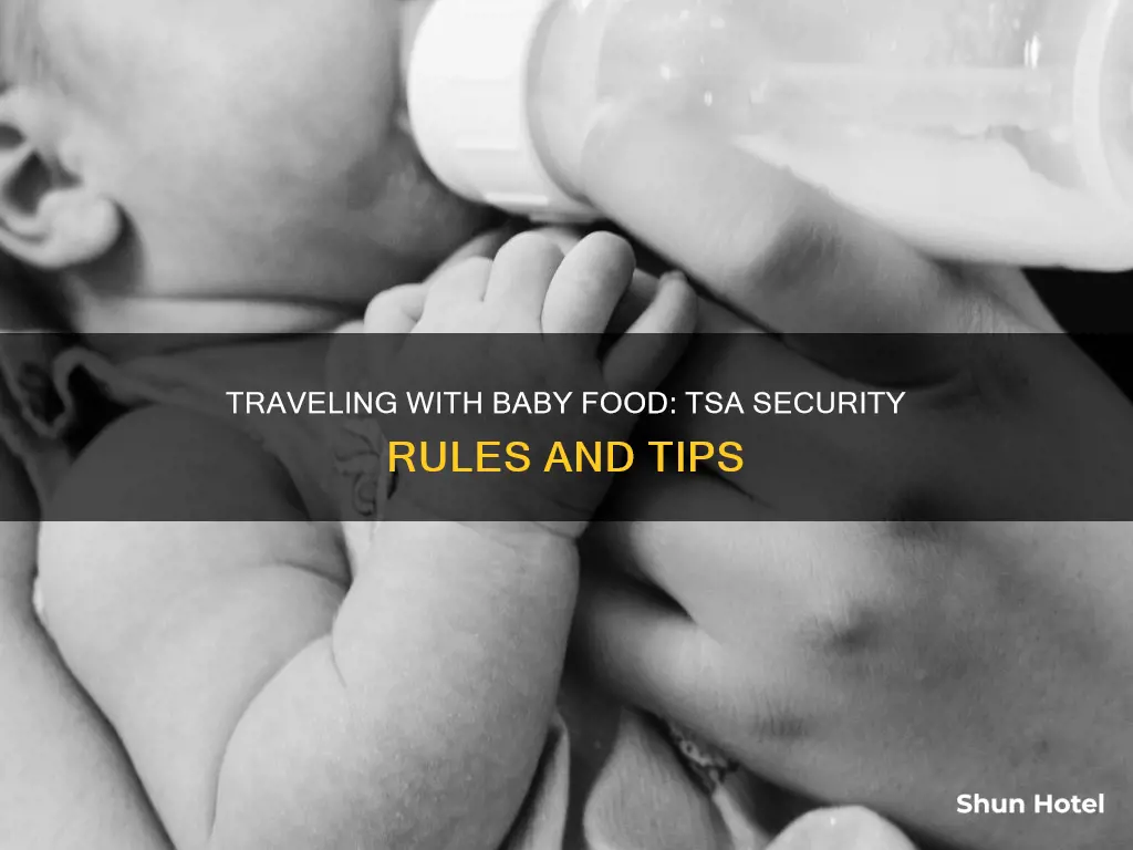 can i take baby food through airport security