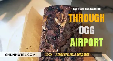Traveling with Banana Bread: Can I Bring it on a Flight?