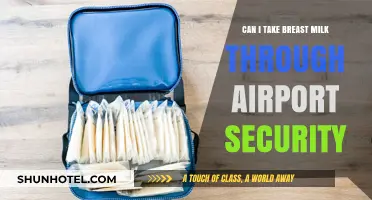 Breast Milk and Airport Security: What's Allowed?