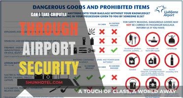 Traveling with Chipotle: TSA-Friendly?