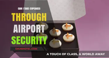 Traveling with Cupcakes: Airport Security Rules Explained