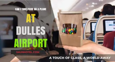 Bringing Food on a Plane: Dulles Airport Rules