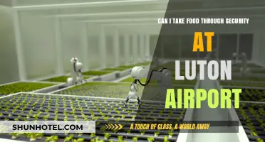 Luton Airport Security: Can You Bring Food?