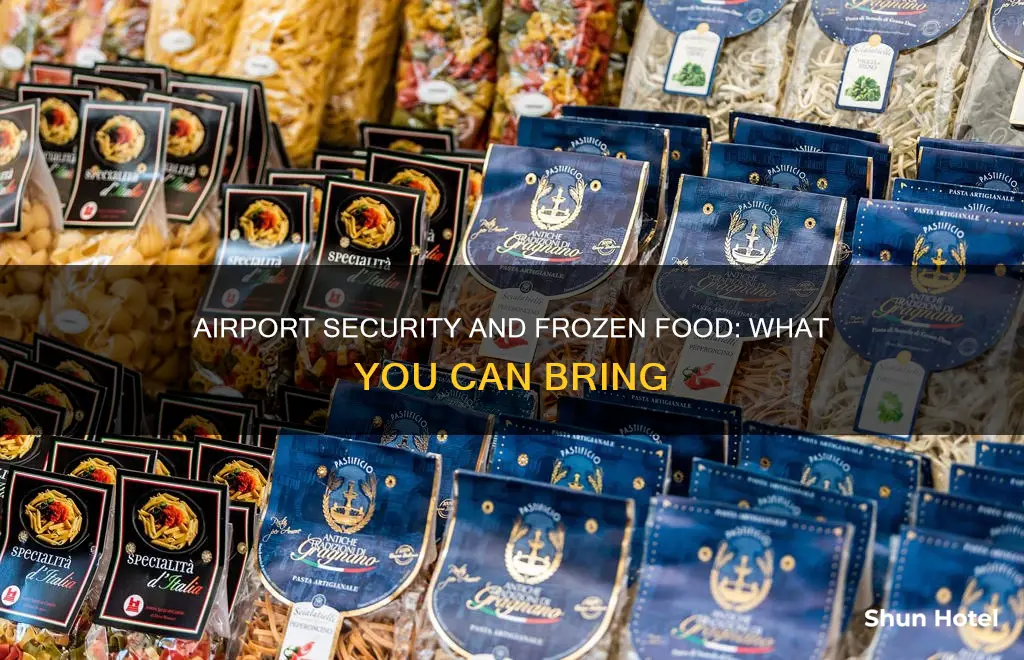 can i take frozen food through airport security