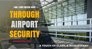 Traveling with Frozen Soup: Airport Security Rules