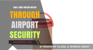 Airport Security: Can I Bring Frozen Water?