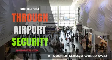 Airport Security: Can You Bring Fudge on a Plane?