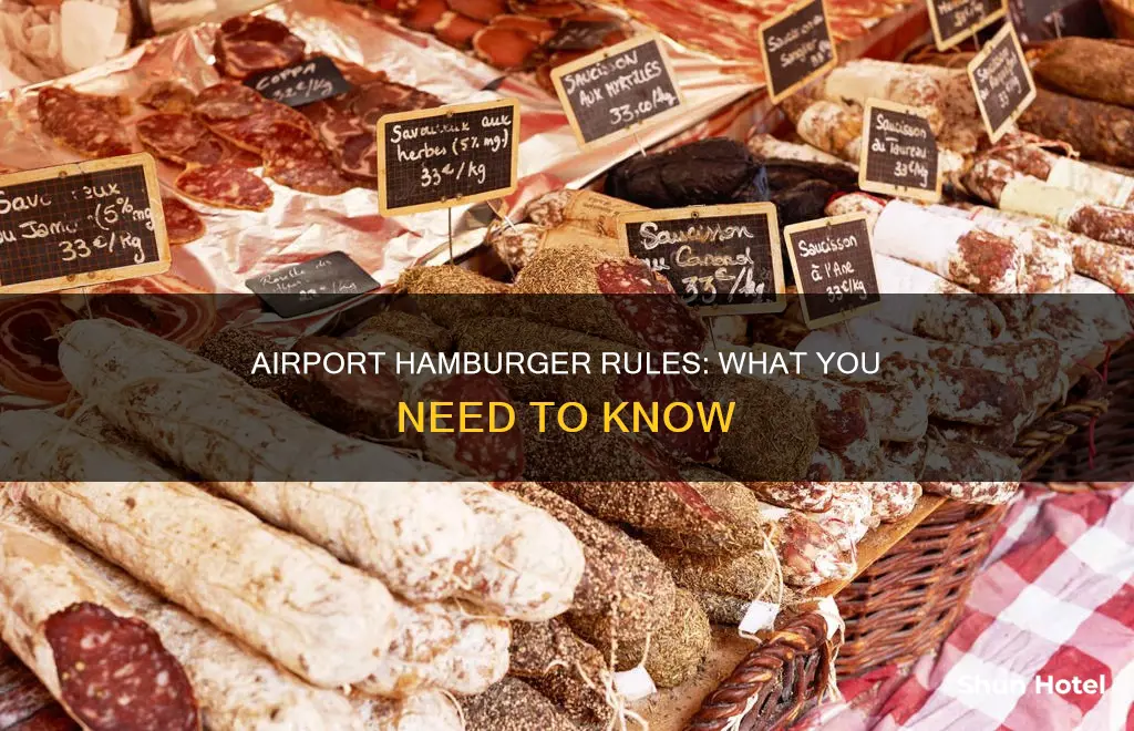 can i take hamburger into airport