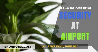 Traveling with Houseplants: Airport Security Guide
