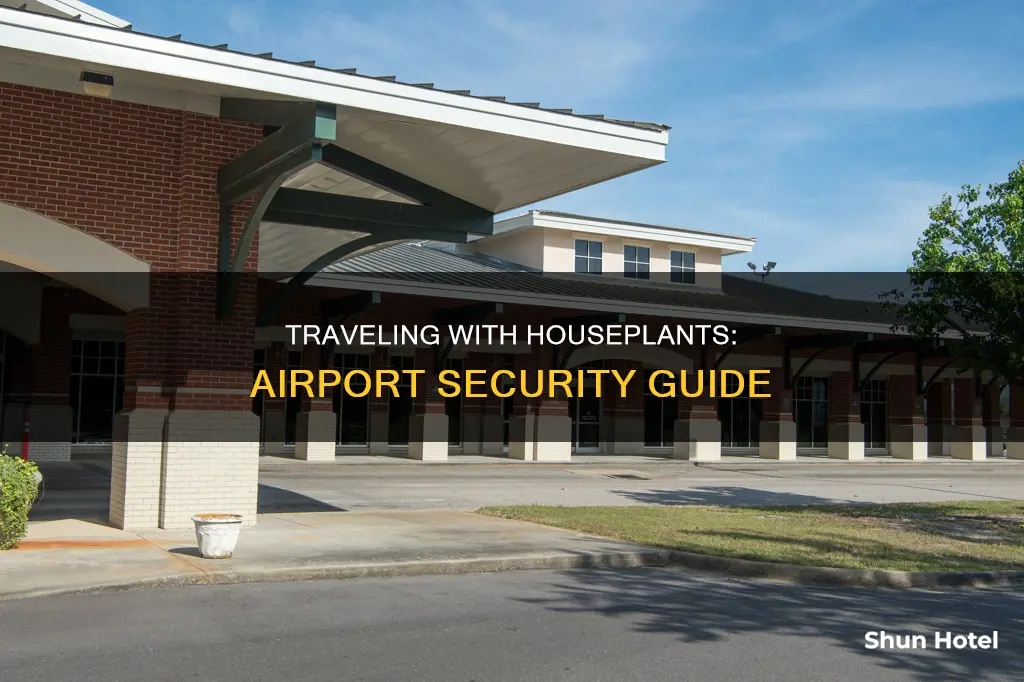 can i take houseplants through security at airport