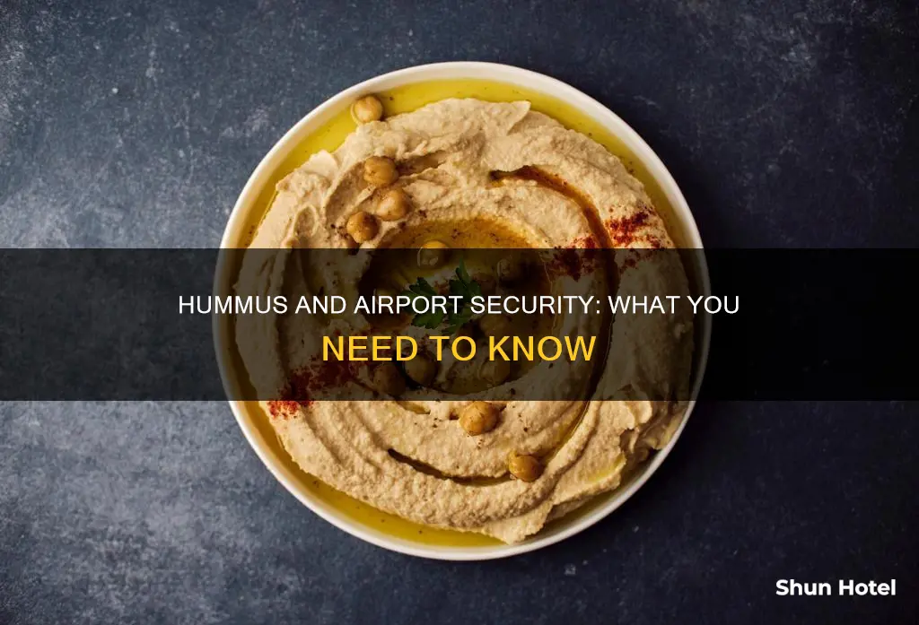 can i take hummus through airport security