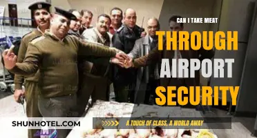 Meat at Airport Security: What You Need to Know