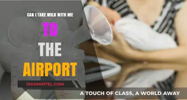 Traveling with Milk: Airport Security Rules