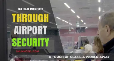 Airport Security and Miniatures: What You Need to Know