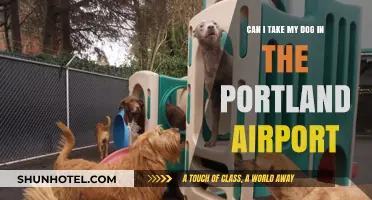 Portland Airport: Can I Bring My Dog?