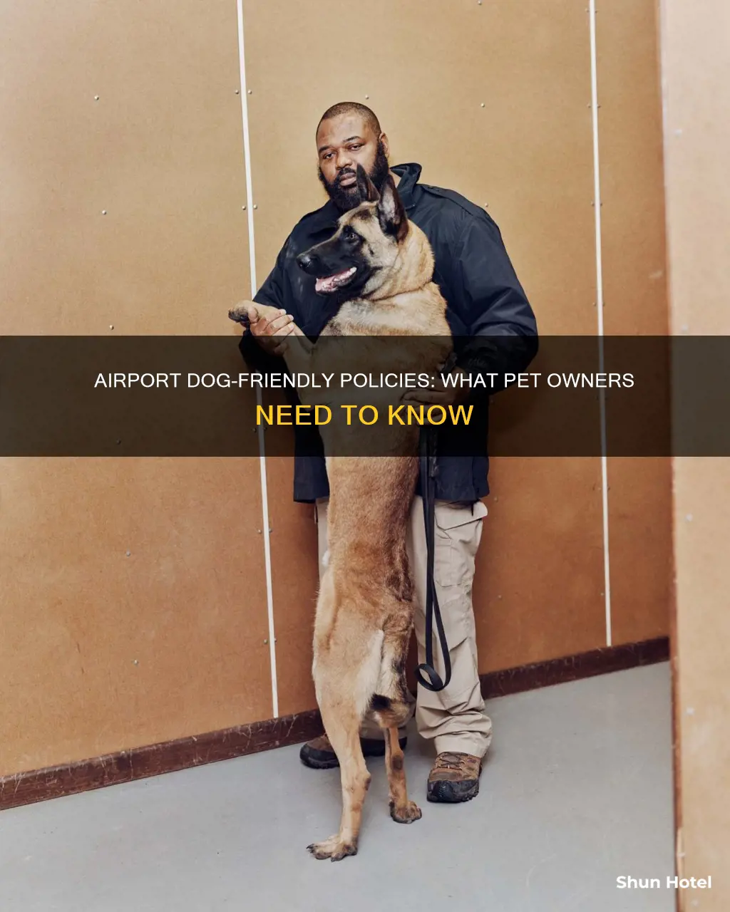 can i take my dog to airport