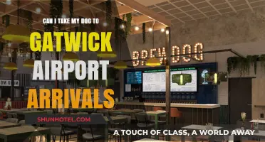 Bringing Your Dog to Gatwick Airport Arrivals: Is It Allowed?