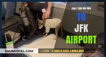 Exploring JFK Airport with Your Dog