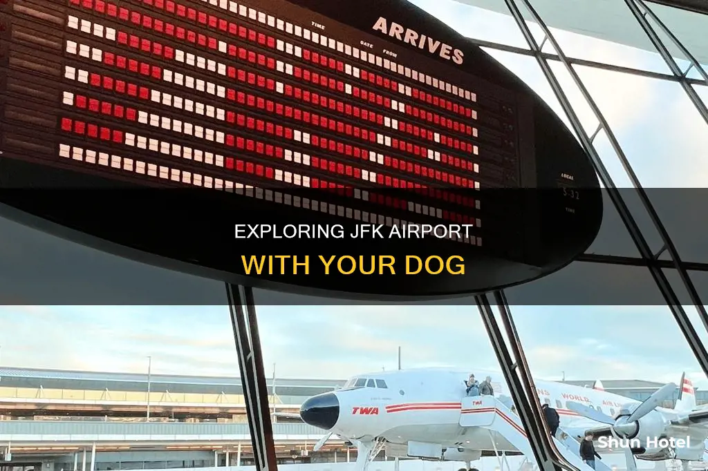 can i take my dog to jfk airport