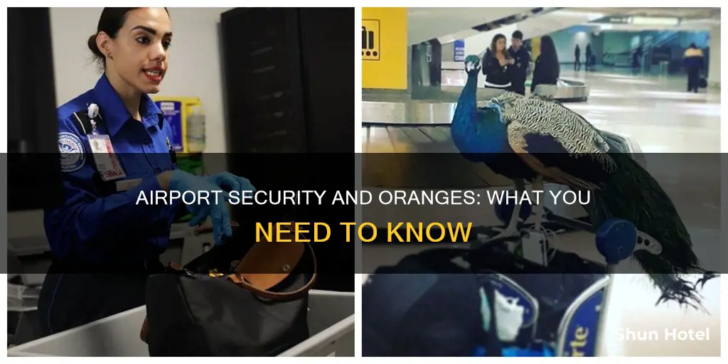 can i take oranges through airport security