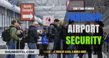 Traveling with Peanuts: Airport Security Rules