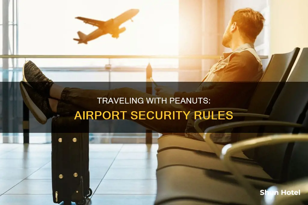 can i take peanuts through airport security