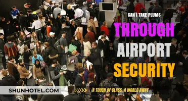 Traveling with Plums: Airport Security Rules