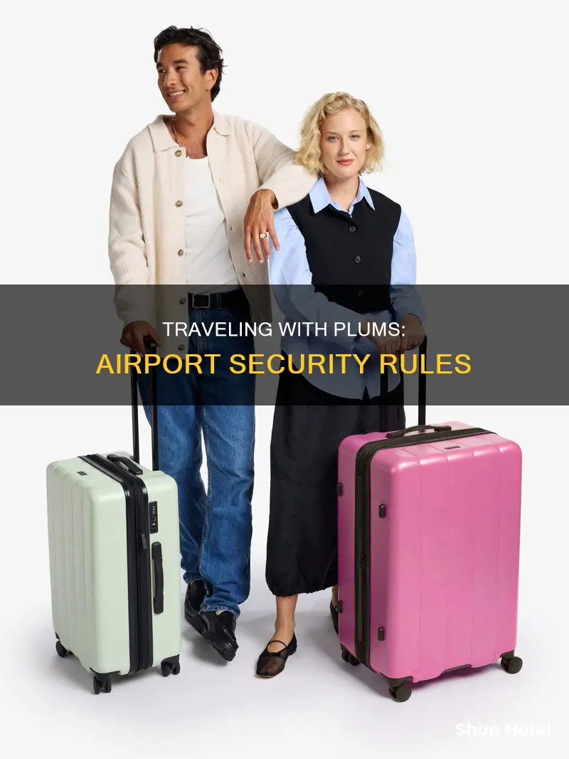 can i take plums through airport security