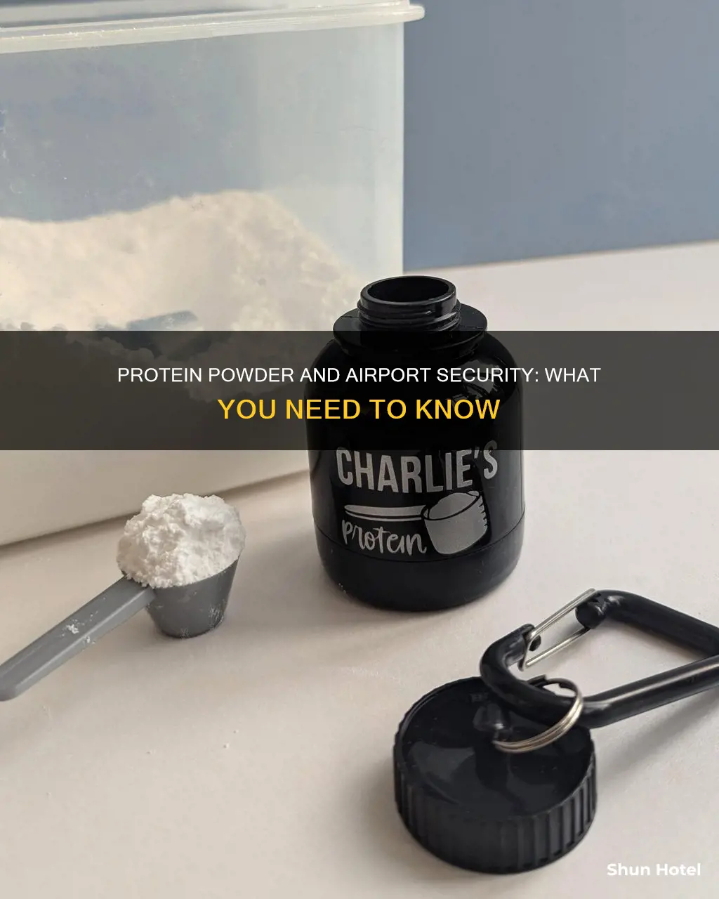 can i take protein powder through airport security