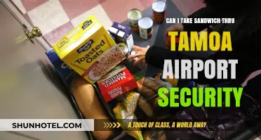 Sandwiches on a Plane: What You Need to Know