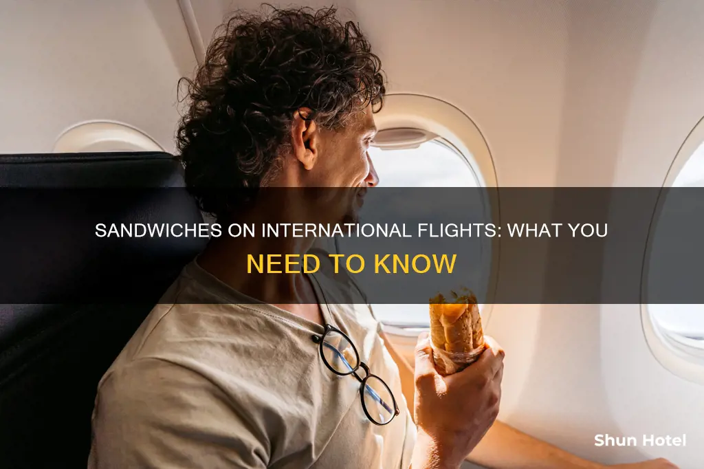 can i take sandwiches on a international airport