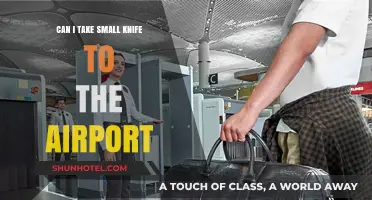 Airport Security: Small Knives, Big No-No?
