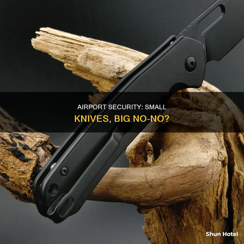 can i take small knife to the airport