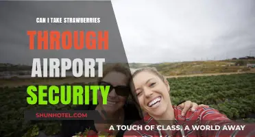 Traveling with Strawberries: Airport Security Rules
