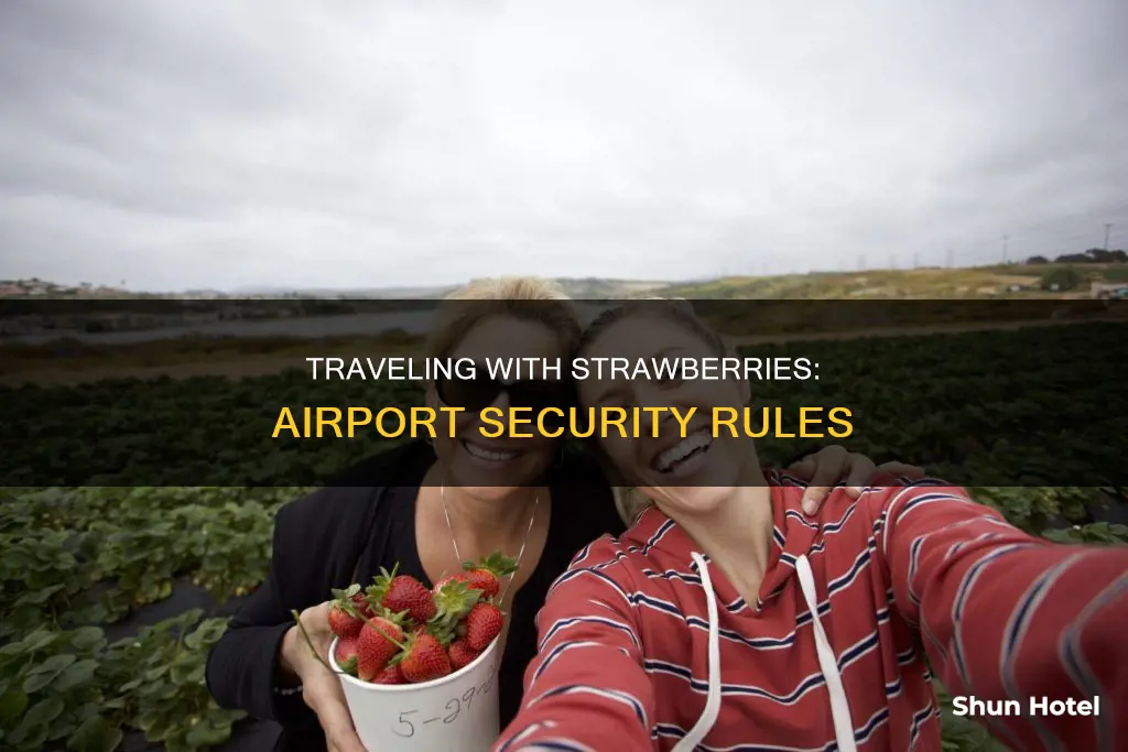 can i take strawberries through airport security