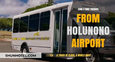 Exploring Holunono: Airport to City by Bus?