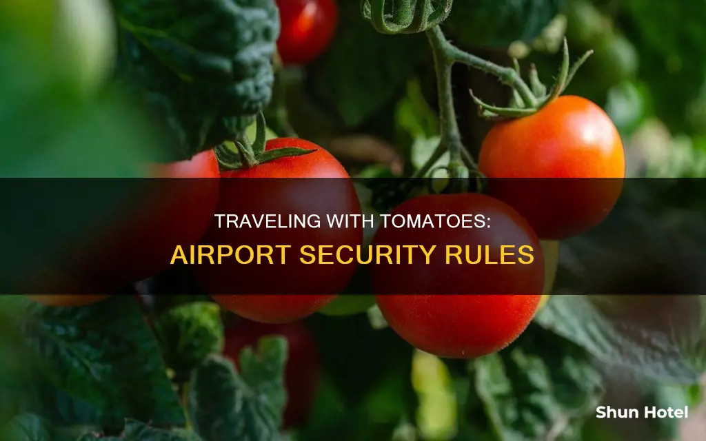 can i take tomatoes through airport security