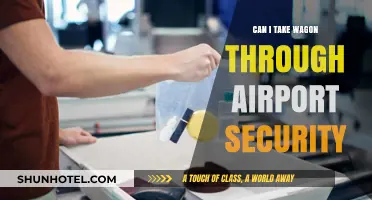 Airport Security: Can You Bring Your Wagon?