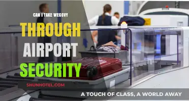 Airport Security and WeGovy: What You Need to Know
