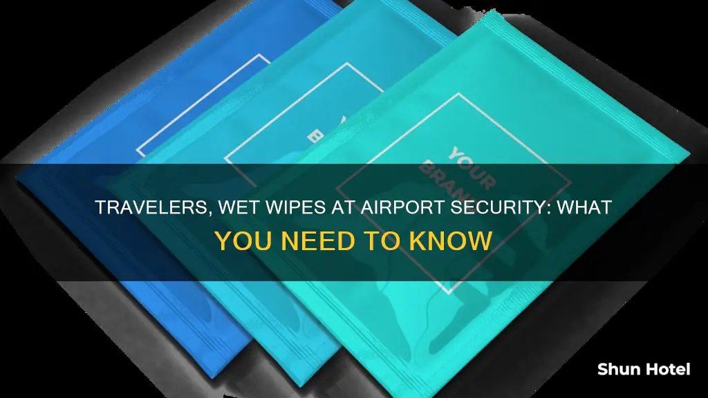 can i take wet wipes through airport security