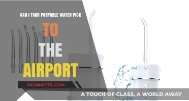 Travel-Friendly Water Flosser: Airport Edition