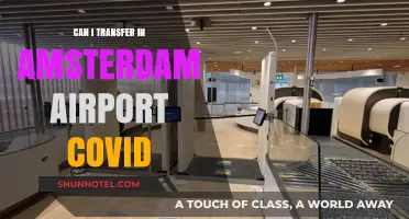 Navigating Covid Transfers: Amsterdam Airport's Rules