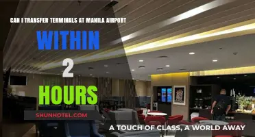 Transferring Terminals: Manila Airport's 2-Hour Challenge