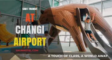 Exploring Changi Airport: Transit Possibilities and Attractions