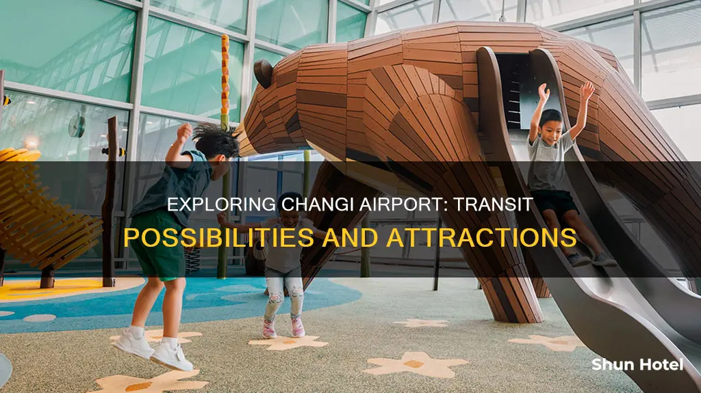 can i transit at changi airport